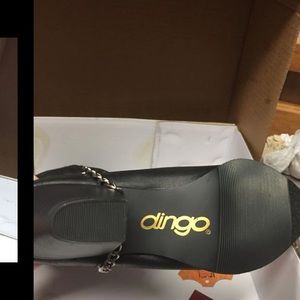 Women’s Dingo boots
